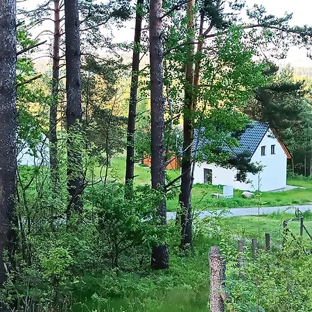 Klidna Lokalita Na Kraji Lesa, Cely Dum S Uschovnu Kol Villa Nova Bystrice Exterior photo