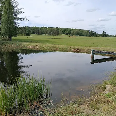 Klidna Lokalita Na Kraji Lesa, Cely Dum S Uschovnu Kol Villa Nova Bystrice Exterior photo