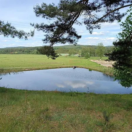 Klidna Lokalita Na Kraji Lesa, Cely Dum S Uschovnu Kol Villa Nova Bystrice Exterior photo
