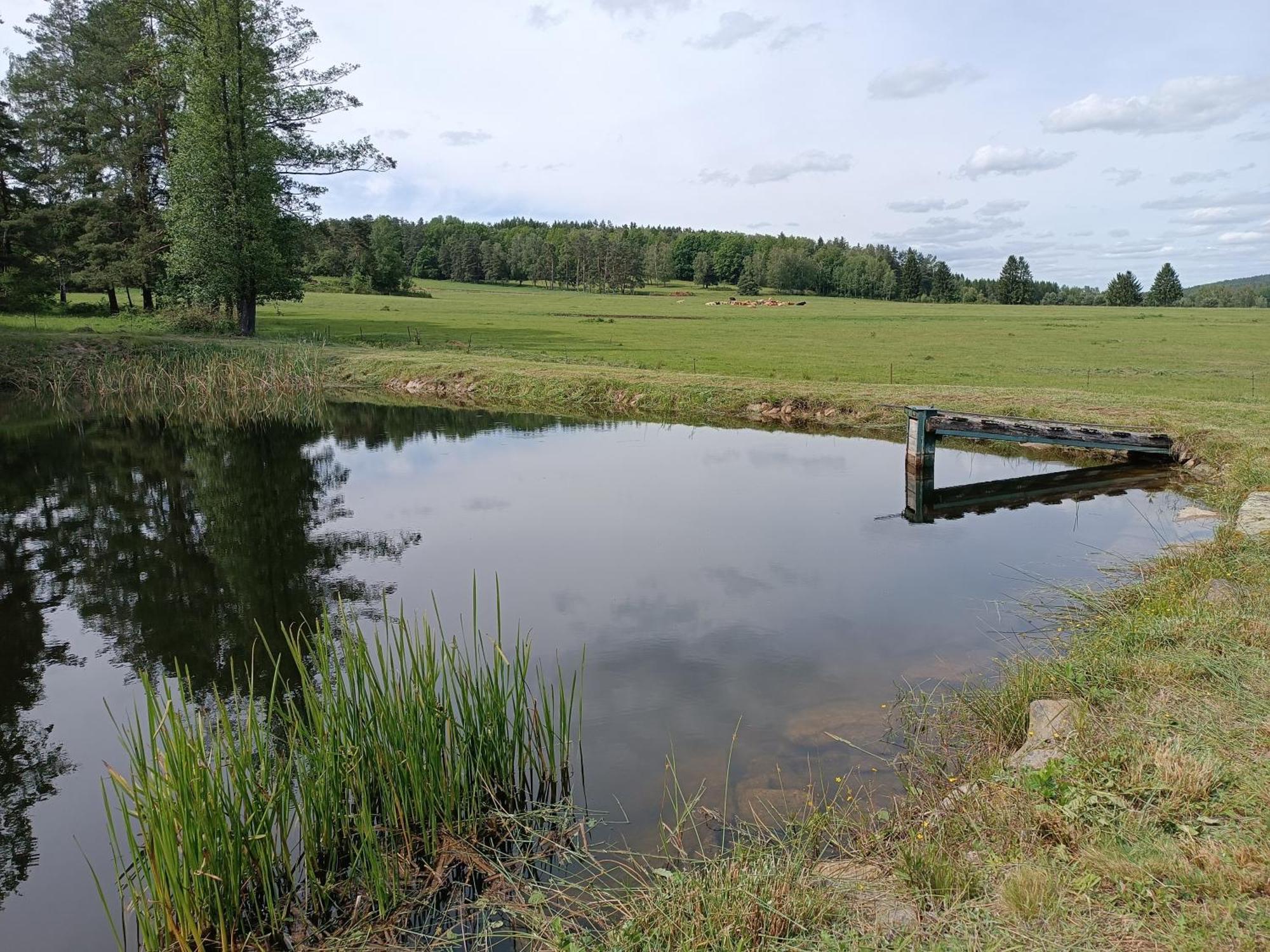 Klidna Lokalita Na Kraji Lesa, Cely Dum S Uschovnu Kol Holiday home *