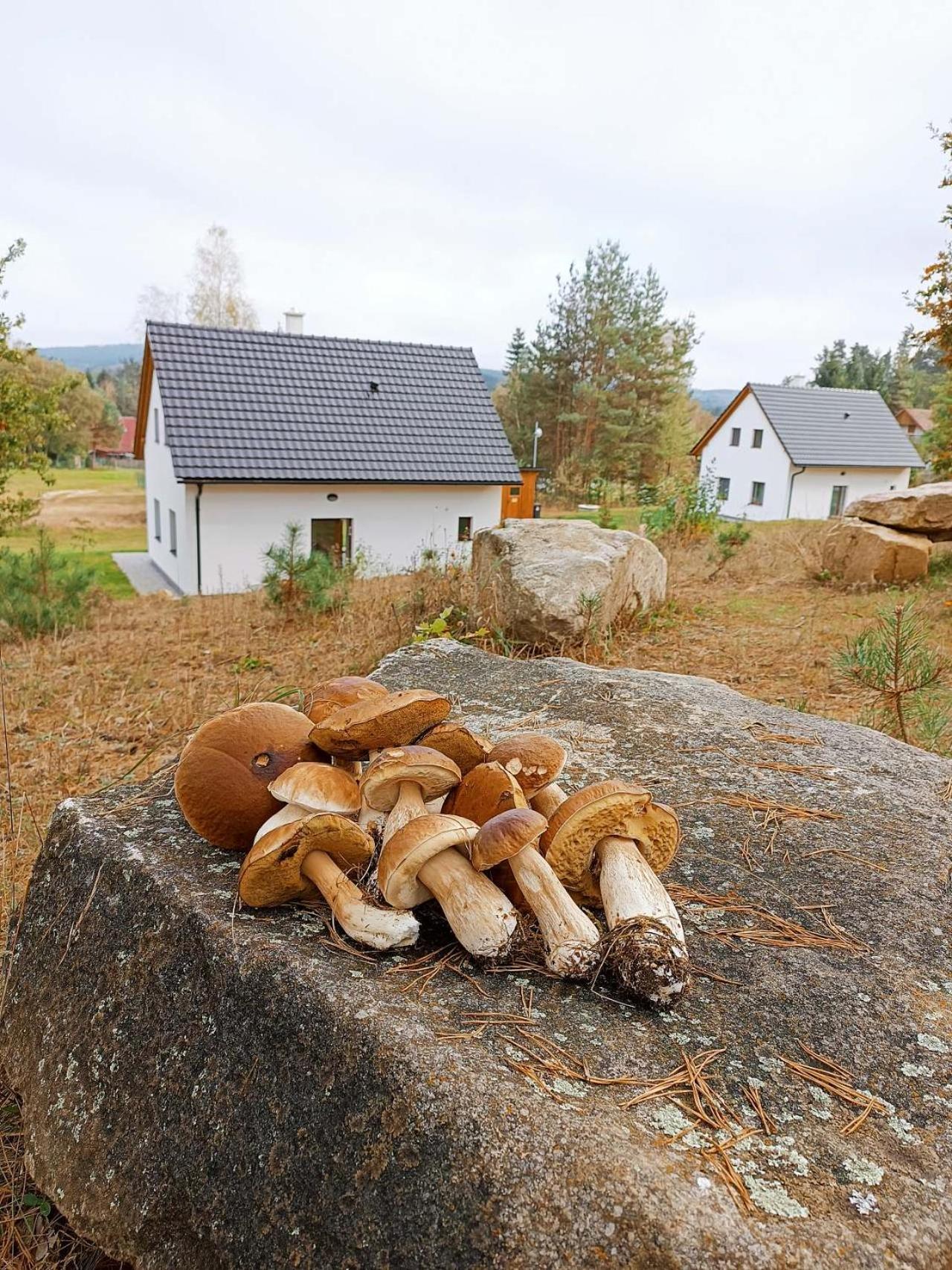 Klidna Lokalita Na Kraji Lesa, Cely Dum S Uschovnu Kol Holiday home